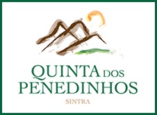 repovoamento de perdizes